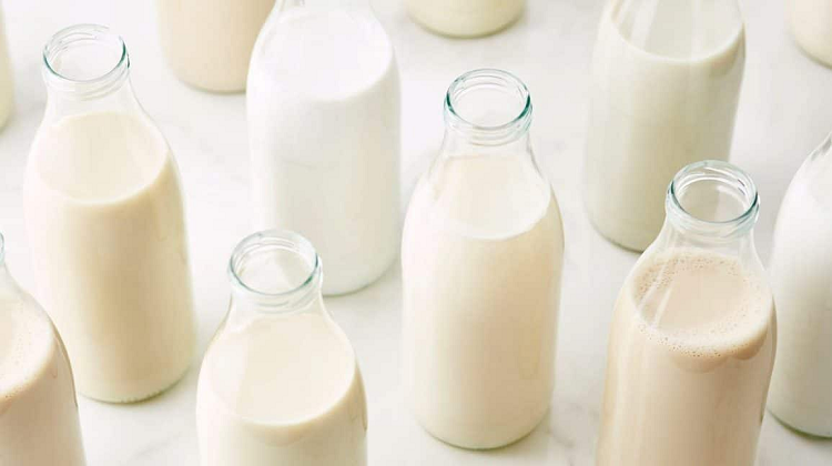 thành phần dinh dưỡng trong sữa
